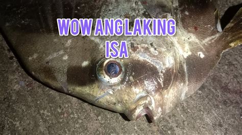 bayang fish